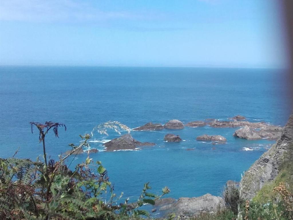 Avoncourt Lodge Ilfracombe Exteriér fotografie